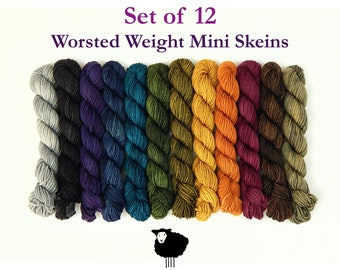 Set of 12. WORSTED Weight Mini Skeins. Hand Dyed Yarn, 100% Superwash Merino Wool. Saturated Tonal Colors Knitting Yarn. 20g Per Skein