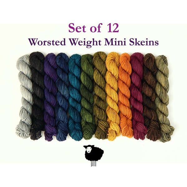 Set of 12. WORSTED Weight Mini Skeins. Hand Dyed Yarn, 100% Superwash Merino Wool. Saturated Tonal Colors Knitting Yarn. 20g Per Skein