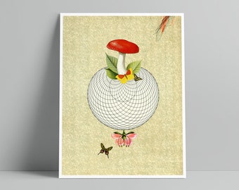 Wonderful World I - Art Print - Natural History & Red Mushroom Illustration