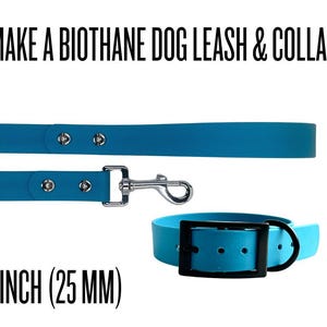 May include: A turquoise Biothane dog leash and collar set. The leash has silver-tone hardware and is 1 inch wide. The collar features a black buckle and D-ring. Text on the image reads: "MAKE A BIOTHANE DOG LEASH & COLLAR" and "1 INCH (25 MM)".