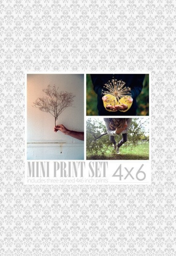 Items similar to 4x6 Mini Print Set / Includes Three 4x6 Colour Prints