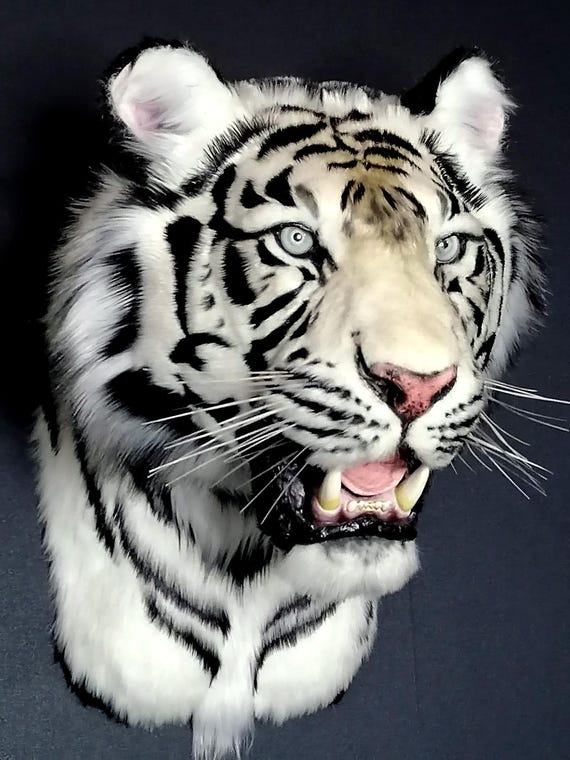 Replica Taxidermy White Tiger Wall Mount Stuffed Mammal Home Decor