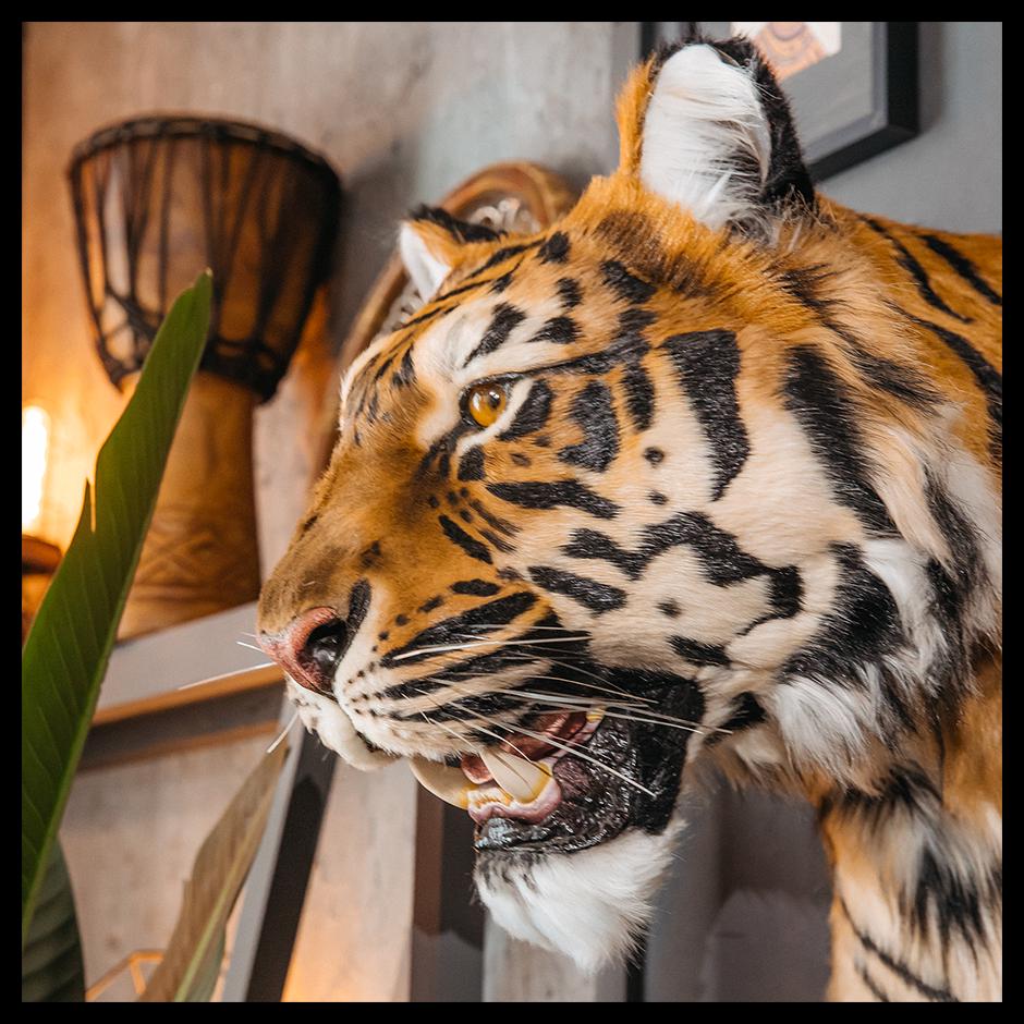 Replica Taxidermy Tiger Wall Mount Head Stuffed Shoulder Mammal