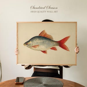 May include: A framed print showing a detailed illustration of a fish with a blue-grey body and bright red fins and tail. The artwork is set against a cream background and framed in light wood. The text "Sundried Season HIGH QUALITY WALL ART" is at the top.
