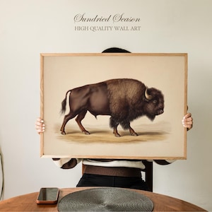 Può includere: Stampa incorniciata con un'illustrazione dettagliata di un bisonte. L'opera d'arte raffigura l'animale in tonalità marroni e beige, con il testo "Sundried Season HIGH QUALITY WALL ART" in alto. La cornice è in legno chiaro.