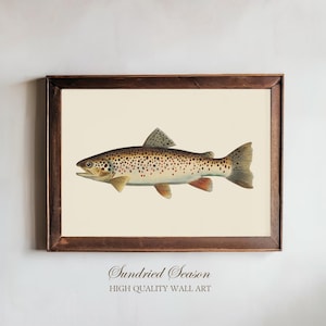 Vintage Brown Trout Art Print, Detailed Freshwater Fish Illustration, Rustic Nature Wall Decor for Cabin, Lake House Lodge or Fishing Gift