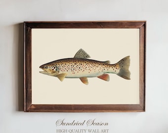 Vintage Brown Trout Art Print, Detailed Freshwater Fish Illustration, Rustic Nature Wall Decor for Cabin, Lake House Lodge or Fishing Gift