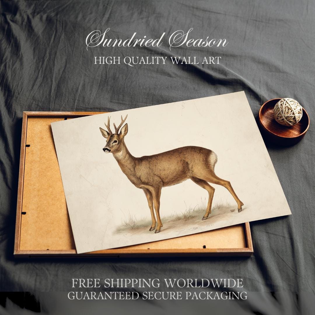Vintage Roe Deer Art Print, Rustic Forest Wildlife Illustration ...