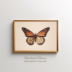 Monarch Butterfly Art Print, Vintage Insect Illustration, Botanical Nature Wall Decor, Entomology Poster for Bedroom, Study or Gallery Wall