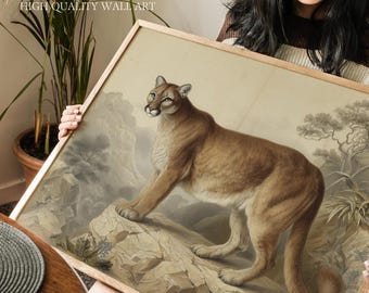 Vintage Mountain Lion Wall Art Print, Classic Cougar Wildlife Illustration, Rustic Big Cat Poster, Hunting Cabin or Southwestern Home Decor