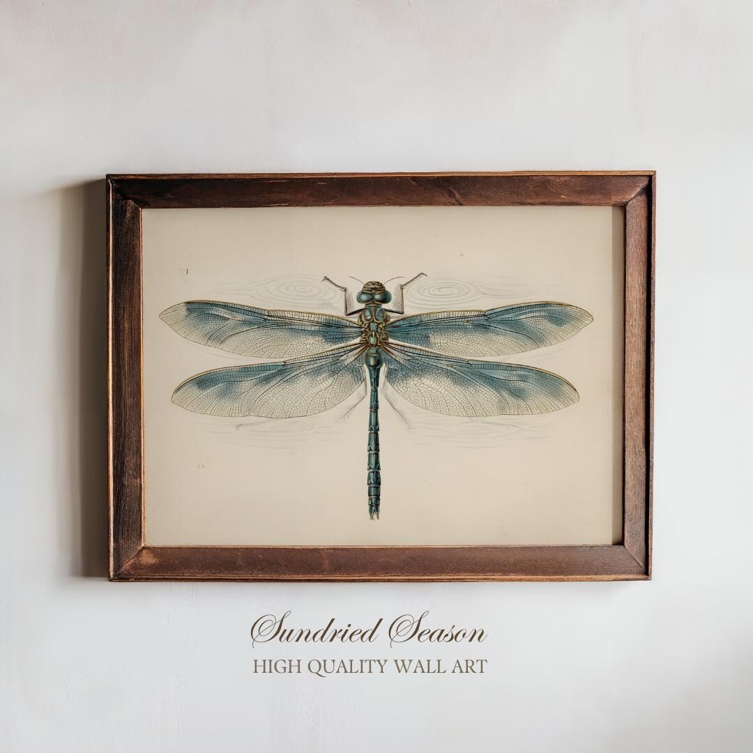 Subalpine Dragonfly Illustration, Alpine Wetland Insect From the Rocky ...