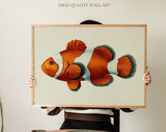 Vintage anemoonvis illustratie, tropische rifvissen kunst aan de muur, kust oceaan mariene biologie print voor nautische badkamer of kinderkamer decor