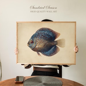 Arte de parede com ilustração de peixe-disco vintage, estampa de animal aquático tropical exótico, decoração de natureza inspirada no oceano para banheiro ou casa de praia