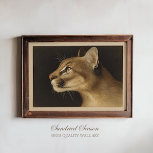May include: A framed print depicting a cougar in profile, with a focus on its head and shoulders. The artwork displays the big cat's tan fur, yellow eyes, and dark whiskers against a black backdrop. The frame is dark brown, and the text "Sundried Season HIGH QUALITY WALL ART" is at the bottom.