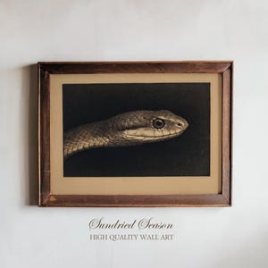 May include: Framed vintage print featuring a detailed illustration of a snake's head in profile. The artwork is in sepia tones, set against a dark background, and framed in a brown wooden frame. The text "Sundried Season" and "HIGH QUALITY WALL ART" is at the bottom.