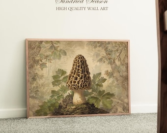 Könnte beinhalten: Gerahmter Wandkunstdruck mit einer detaillierten Illustration eines Morchelpilzes. Das Kunstwerk hat eine Vintage-Ästhetik, wobei der Pilz und das umliegende Laub in gedämpften Erdtönen gehalten sind. Der Text "Sundried Season" und "HIGH QUALITY WALL ART" befindet sich oben.