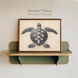 May include: A framed wall art print featuring a detailed illustration of a sea turtle in shades of gray and black. The artwork is displayed on a green and tan shelf. The text "Sundried Season High Quality Wall Art" is above the framed print.