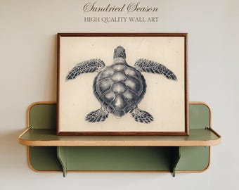 Lámina con ilustración vintage de tortuga marina, arte mural antiguo de animales marinos, decoración náutica de biología marina para casa de playa, oficina o estudio. Regalo ideal.