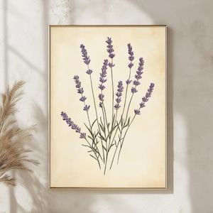 Lavendel Botanische Wandkunst, Vintage Kräuter Illustration, Rustikaler Blumendruck, Provence Blumendekor, Bauernhaus Natur Poster