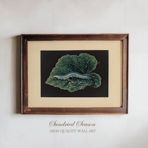 May include: A framed botanical print depicting a caterpillar on a large green leaf with water droplets. The artwork is set against a black background and framed in a dark wood frame. The text "Sundried Season HIGH QUALITY WALL ART" is at the bottom.