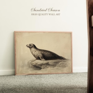 May include: A framed print depicting a seal on a rock, rendered in sepia tones. The artwork includes the text "Sundried Season HIGH QUALITY WALL ART". The frame is a light wood colour.