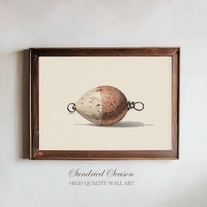 Puede incluir: Una impresión enmarcada que presenta una ilustración vintage de una boya. La boya tiene forma de lágrima, con una combinación de colores blanco y marrón moteado. Tiene anillos metálicos en cada extremo. La impresión está en un marco de madera marrón oscuro.