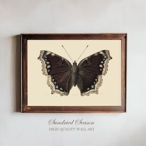 May include: A framed print of a butterfly illustration, showcasing dark brown wings with white and cream-coloured details. The artwork is set against a cream background and enclosed in a dark brown wooden frame. The text "Sundried Season" and "HIGH QUALITY WALL ART" are at the bottom.