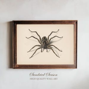 May include: A framed print featuring a detailed illustration of a spider. The spider is depicted in shades of brown and gray, with long, slender legs and a textured body. The print is set against a cream-colored background and framed in a dark wood. The text "Sundried Season HIGH QUALITY WALL ART" is at the bottom.