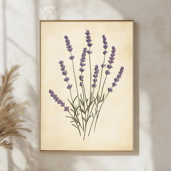 ラベンダーの植物画、ヴィンテージハーブのイラスト、素朴な花柄 