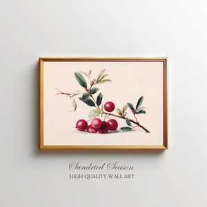 Vintage Cranberry Kunstdruck, rustikale Illustration, Cottagecore Küche & Esszimmer Wanddekoration, Herbst Ernte Bauernhaus
