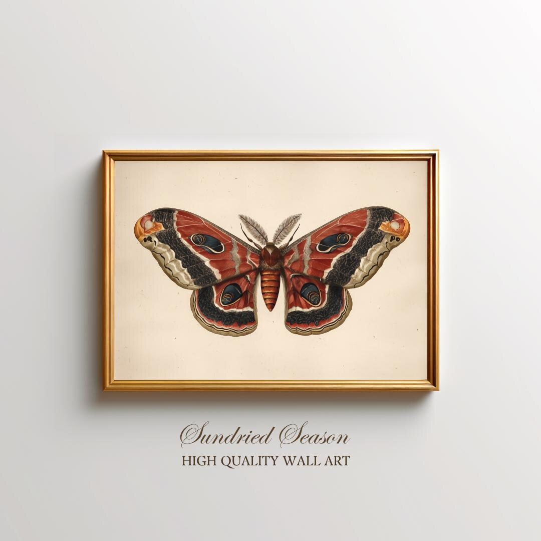 Cecropia Moth Art Print, Vintage Red Insect Illustration, Botanical ...