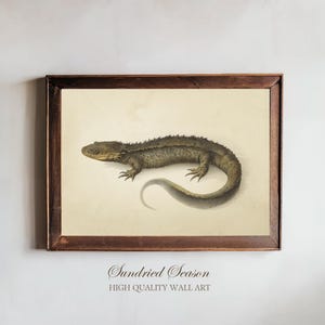 May include: A framed print with a detailed illustration of a lizard. The artwork depicts the reptile in shades of green and brown against a cream background. The frame is dark brown. The text "Sundried Season" and "HIGH QUALITY WALL ART" are at the bottom.
