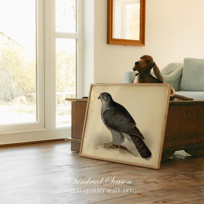 Impresión artística vintage de azor, ave rapaz, ilustración de cetrería antigua, decoración rústica de pared para cabañas, albergues o como regalo para amantes de la naturaleza. imagen 4