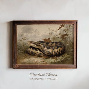 May include: A framed vintage print of a snake in a natural setting. The snake, with a patterned brown and tan body, is coiled among green foliage. The artwork is set against a soft, muted background, with the text "Sundried Season" and "High Quality Wall Art" at the bottom.