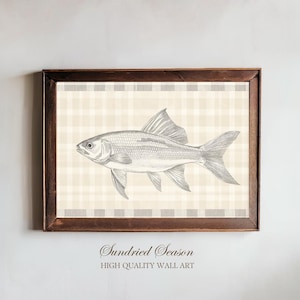 Vintage Fish Illustration Art Print, Rustic Plaid Gingham, Classic Coastal Cottage Decor, Neutral Tones Wall Art for Kitchen or Dining Room
