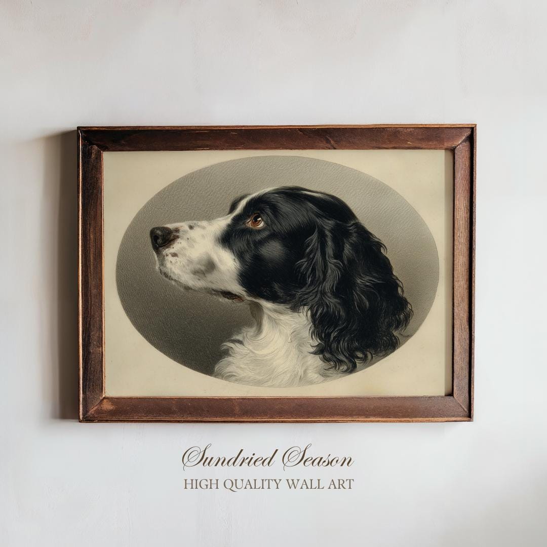 Springer Spaniel Print English Springer Spaniel Art Print, Vintage Dog Illustration for ...