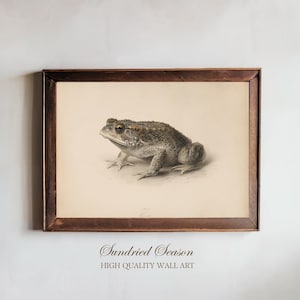 May include: A framed print featuring a detailed illustration of a toad. The artwork showcases the toad in shades of gray and brown against a cream-colored background. The frame is a dark brown color. Text at the bottom reads "Sundried Season HIGH QUALITY WALL ART."