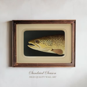 Könnte beinhalten: Gerahmter Vintage-Druck einer Bachforelle. Der Fisch ist detailliert dargestellt, mit einem gelbbraunen Körper, dunklen Flecken und einer rot-orangen Flosse. Das Kunstwerk ist vor einem dunklen Hintergrund in einem cremefarbenen Rahmen mit dunklem Holz gerahmt. Text unten: "Sundried Season HIGH QUALITY WALL ART."