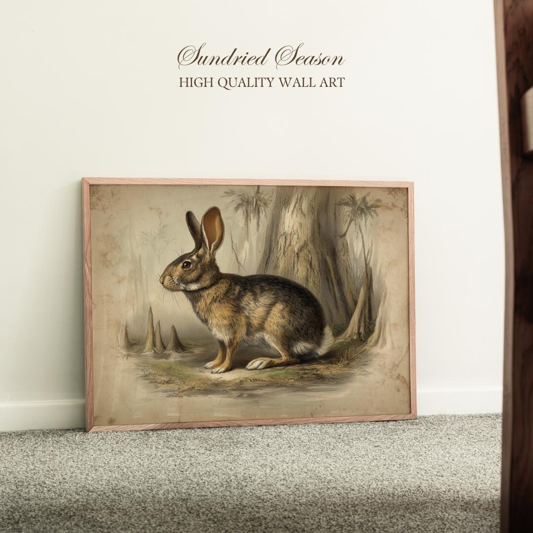 Swamp Rabbit Print, Louisiana Bayou Wetlands and Mississippi Delta ...