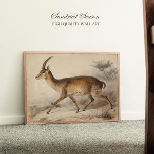 Può includere: Una stampa incorniciata con un'illustrazione dettagliata di un'antilope marrone con corna ricurve, ambientata in un paesaggio naturale. L'opera è in una cornice di legno chiaro e include il testo "Sundried Season HIGH QUALITY WALL ART".