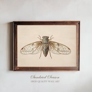 Cicada Insect Art Print, Vintage Entomology Illustration, Natural History Decor, Scientific Bug Poster for Study, Library or Gallery Wall