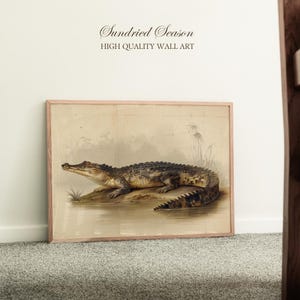 May include: A framed print of an alligator illustration, with a light brown wooden frame. The artwork has a vintage style. The text "Sundried Season" and "HIGH QUALITY WALL ART" are displayed at the top. The alligator is resting near water.