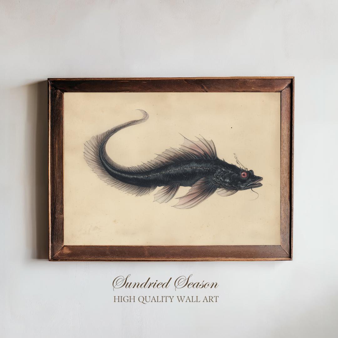 ブラックドラゴンフィッシュ ヴィンテージ 科学的イラストプリント