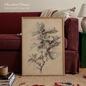 May include: A framed botanical print with a pencil drawing of a plant with large leaves and small fruits. The artwork is in a light brown wooden frame. The text "Sundried Season HIGH QUALITY WALL ART" is at the top.