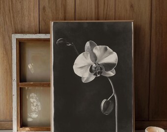 Monochrome Orchid Flower Illustration, Dramatic Black & White Floral Art, Contemporary Minimalist Dark Nature Wall Decor for Home and Studio