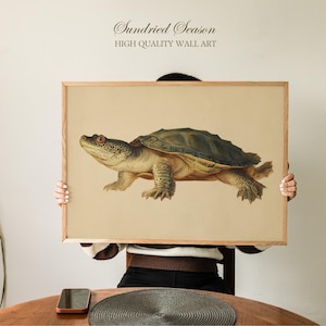 May include: A framed wall art print featuring a detailed illustration of a turtle. The turtle has a dark green shell, a tan body, and red eyes. The print is set against a beige background, with the text "Sundried Season" and "HIGH QUALITY WALL ART" at the top.