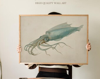 Ilustración vintage de calamar marino, lámina científica de criaturas oceánicas, arte mural de vida marina costera para decoración náutica de baño u oficina.