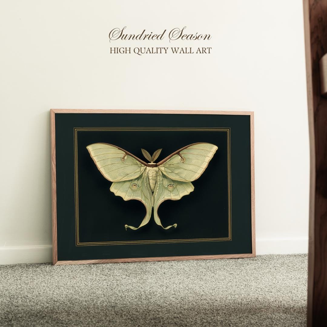 Luna Moth Art Print, Vintage Moon Moth Illustration With Dark ...