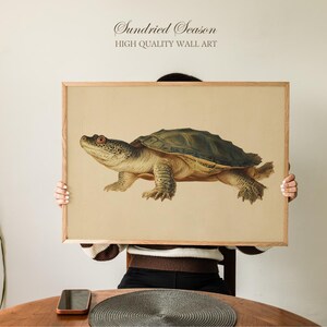May include: A framed wall art print featuring a detailed illustration of a turtle. The turtle has a dark green shell, a yellow underbelly, and a textured skin. The artwork is set against a beige background, with the text "Sundried Season HIGH QUALITY WALL ART" at the top.
