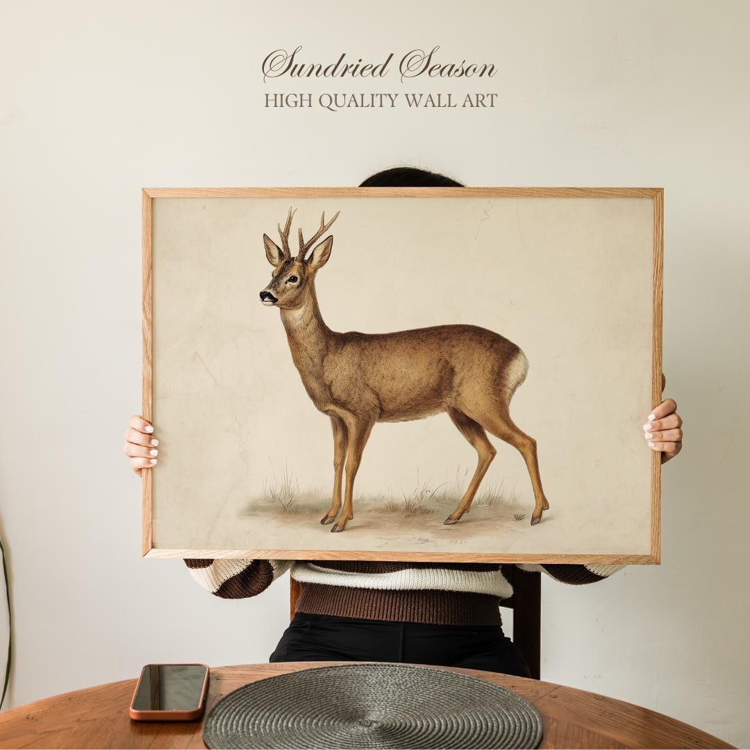 Vintage Roe Deer Art Print, Rustic Forest Wildlife Illustration ...